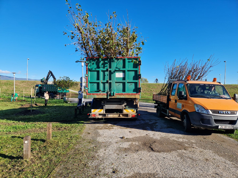 Besplatno prikupljanje prirodnih božićnih drvaca kreće 7. siječnja